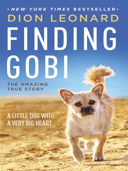 finding gobi